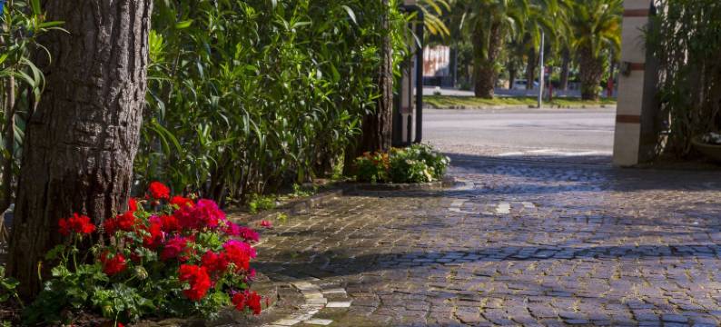 运动酒店(Hotel Sporting)图片