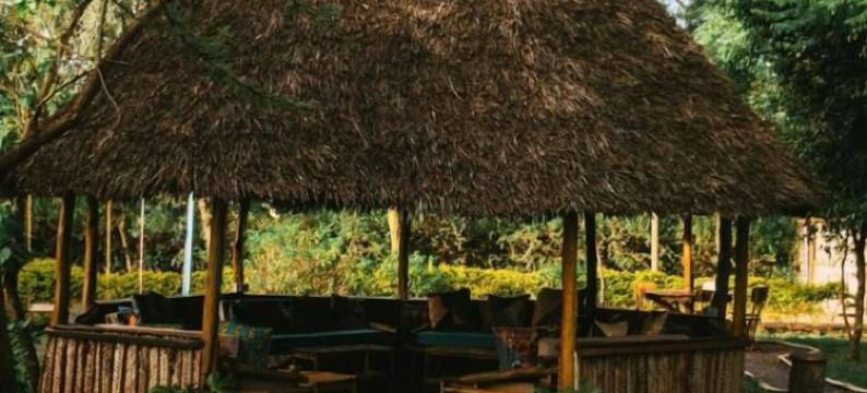 Patamu餐厅&旅舍(Patamu Restaurant & Lodge)图片