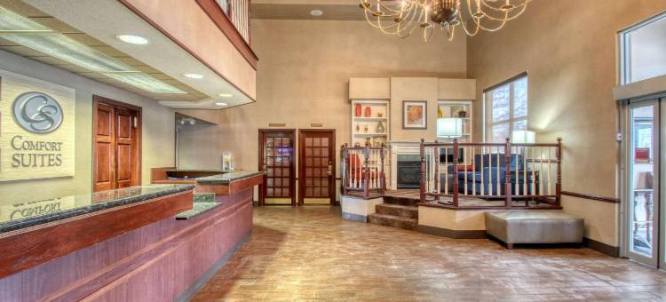 麦迪逊舒适套房酒店(Comfort Suites Madison West)图片