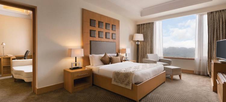 温德姆华美达广场酒店-JHV菠罗奈斯(Ramada Plaza by Wyndham JHV Varanasi)图片