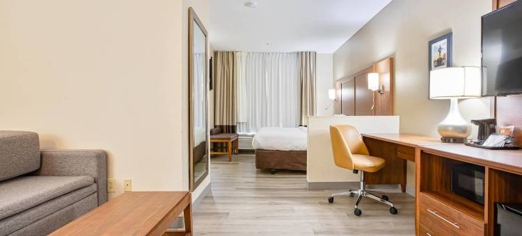 蒙哥马利东卡迈克尔路舒适套房酒店(Comfort Inn & Suites Montgomery East Carmichael Rd)图片