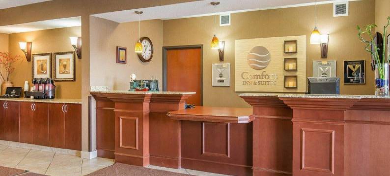 舒适酒店及套房- 艾尔德里(Comfort Inn & Suites)图片