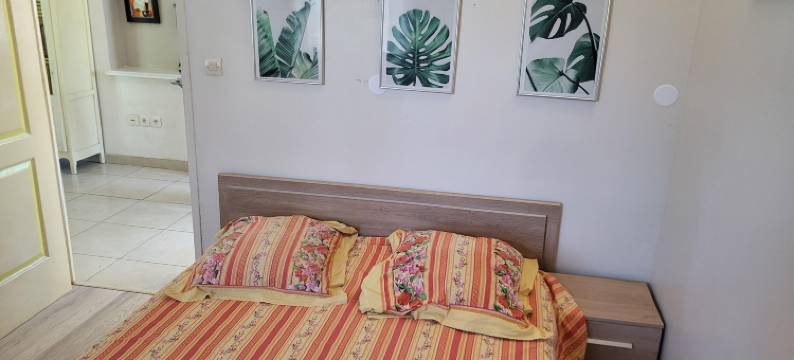 Villa in Vidauban with Pool and BBQ Terrace图片