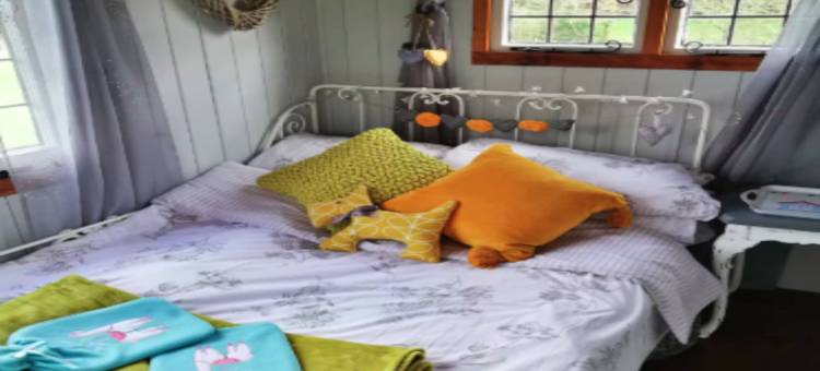 Shepherd's Hut in Romsey with Fire Pit图片