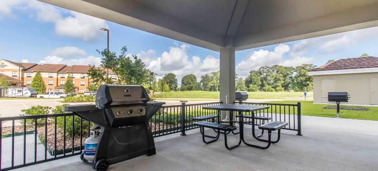 唐纳森维尔 - 冈萨雷斯郊区套房酒店(Suburban Studios Donaldsonville - Gonzales)图片