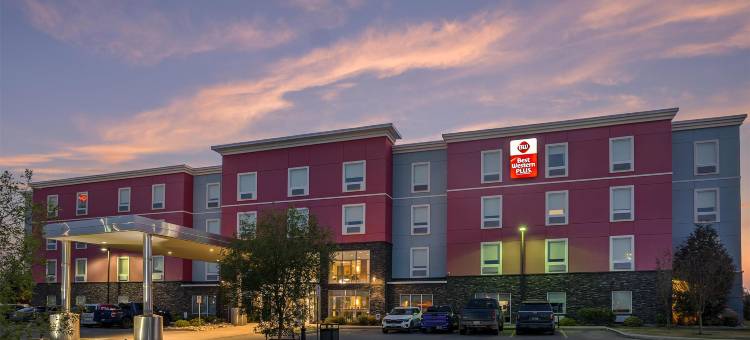 贝斯特韦斯特优质机场优质酒店(Best Western Plus Airport Inn  Suites)图片