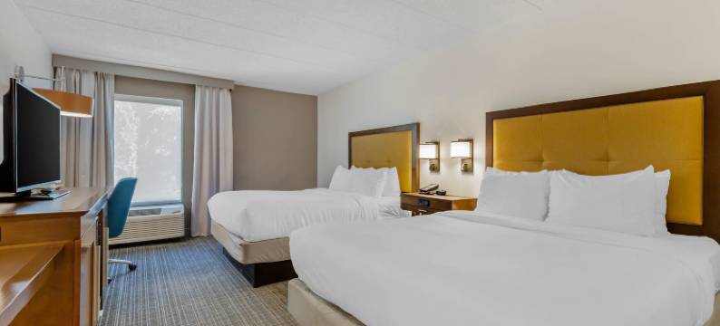 罗瑞尔- 米德堡区舒适酒店(Comfort Inn Laurel - Fort Meade)图片