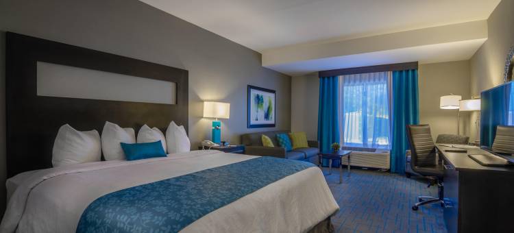 锡拉丘兹机场假日套房酒店(Holiday Inn & Suites SYRACUSE AIRPORT - LIVERPOOL by IHG)图片