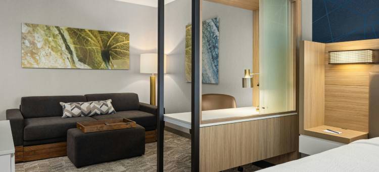 欧克莱尔SpringHill Suites酒店(SpringHill Suites Eau Claire)图片