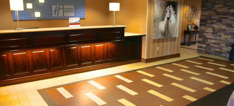 智选假日套房酒店哥伦布东南亚(Holiday Inn Express & Suites COLUMBUS SE - GROVEPORT by IHG)图片