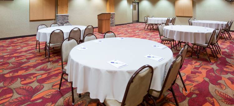 智选假日套房酒店布雷纳德 - 巴克斯特 by IHG(Holiday Inn Express & Suites Brainerd-Baxter)图片