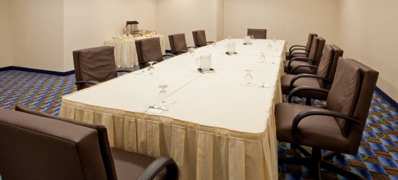 Holiday Inn 威廉斯波特(Holiday Inn WILLIAMSPORT by IHG)图片