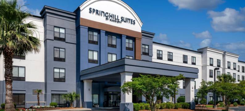 北查尔斯顿/阿什利法斯菲特万豪SpringHill Suites 酒店(SpringHill Suites Charleston North/Ashley Phosphate)图片