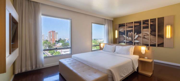 马瑙斯美居酒店(Mercure Manaus)图片