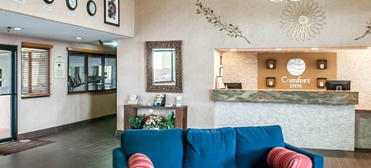 舒适酒店(Comfort Inn)图片