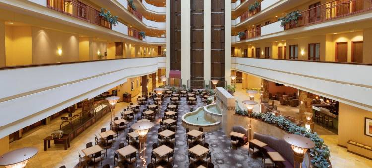 达拉斯弗赖拉辛希尔顿安泊水疗酒店&会议中心(Embassy Suites by Hilton Dallas Frisco Hotel & Convention Center)图片