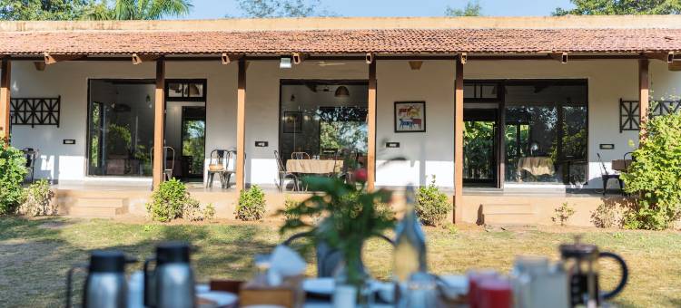 马胡阿托拉塔多巴(Mahua Tola Tadoba)图片