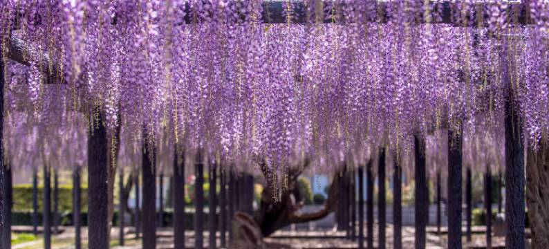 磐田站 Tabist 酒店(Tabist Iwata Station Hotel)图片