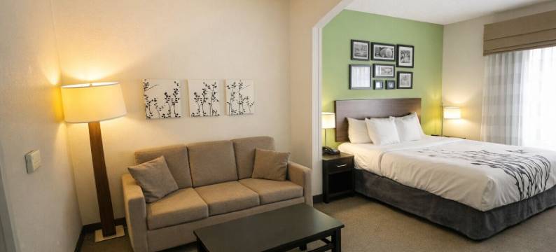 安眠套房酒店(Sleep Inn & Suites)图片