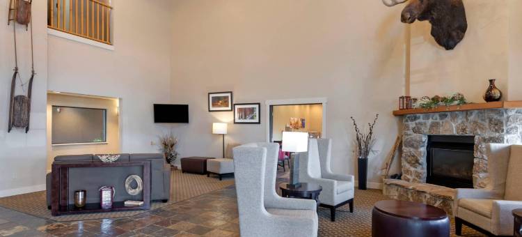 Comfort Inn & Suites Macon图片