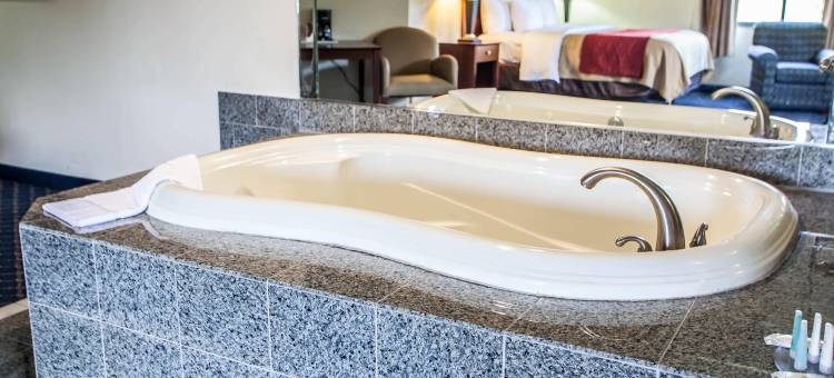 费斯特维尔-特雷弗斯舒适酒店(Comfort Inn Feasterville - Trevose)图片