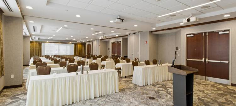 布法罗希尔顿安泊酒店(Embassy Suites by Hilton Buffalo)图片