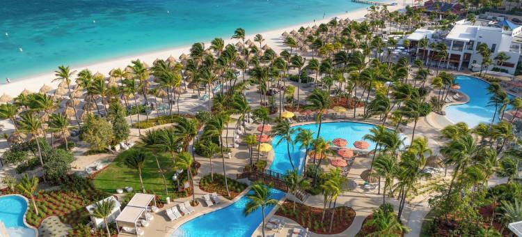 希尔顿阿鲁巴加勒比度假村的韦斯特利(The Westerly at Hilton Aruba Caribbean Resort)图片