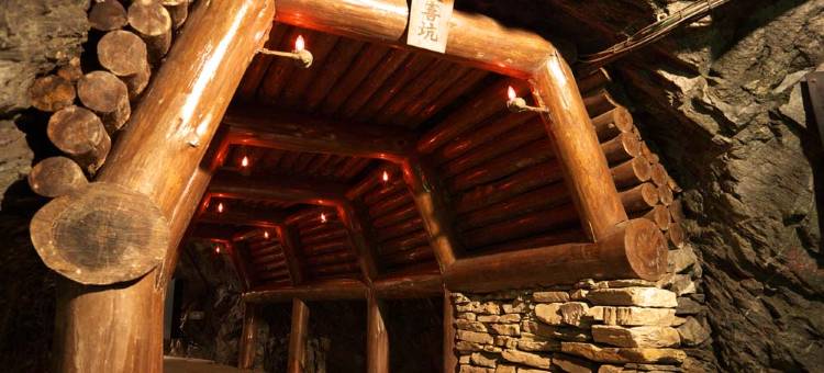 新居滨山酒店(Hotel Niihama Hills)图片