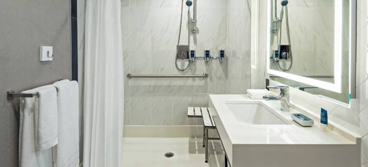 曼哈顿中城西区福朋喜来登酒店(Four Points by Sheraton Manhattan Midtown West)图片