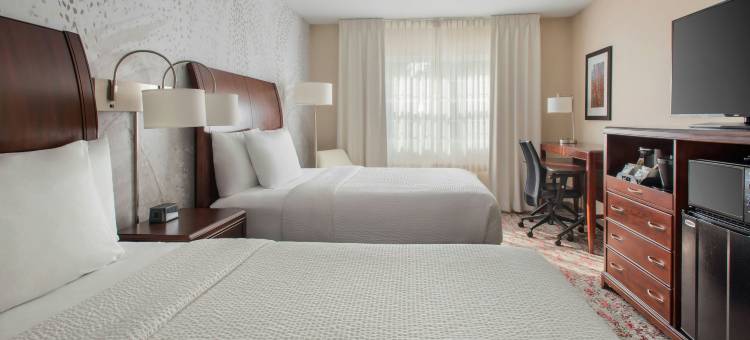 大巴灵顿莱诺克斯/伯克希尔万枫酒店及套房(Fairfield Inn & Suites Great Barrington Lenox/Berkshires)图片