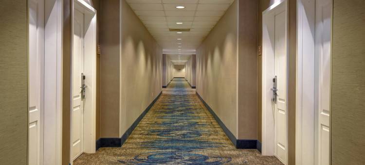 休斯顿乔治布希洲际机场8号环城公路Homewood Suites by Hilton(Homewood Suites by Hilton Houston IAH Airport Beltway 8)图片