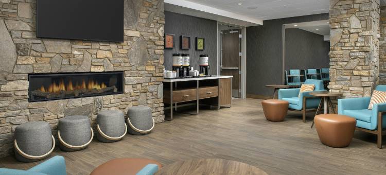 拉什莫尔拉皮德城欢朋套房酒店(Hampton Inn & Suites Rapid City Rushmore)图片