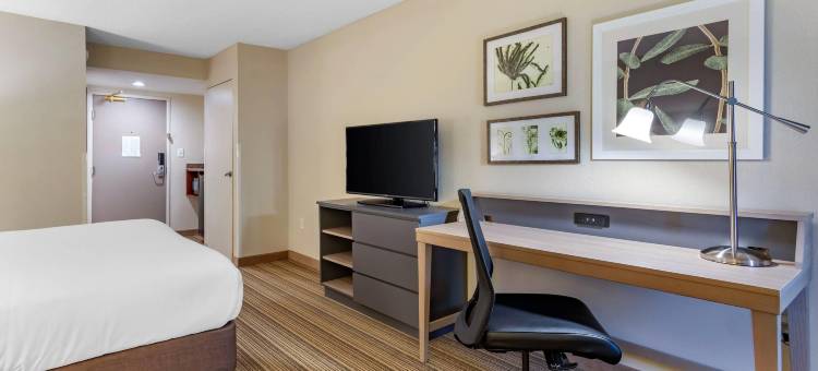 亚特兰大广场棒球场丽怡酒店(Country Inn & Suites by Radisson, Atlanta Galleria/Ballpark, GA)图片