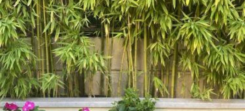 Agrinio Art Suites图片