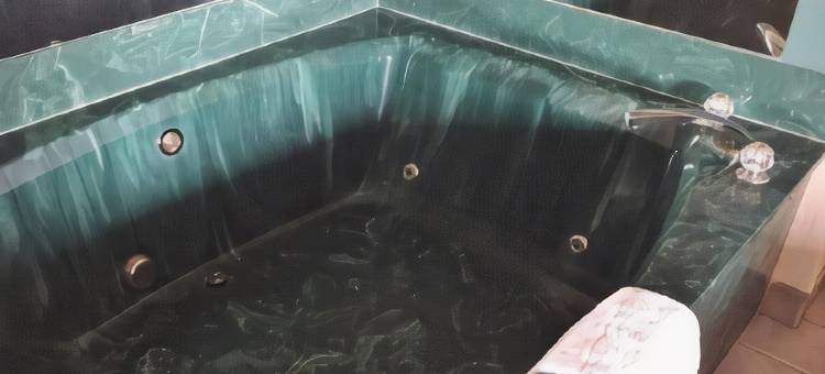 塞金温德姆速8酒店(Super 8 by Wyndham Seguin)图片