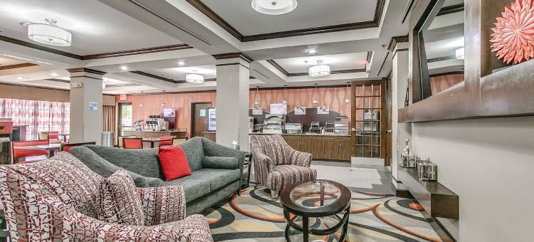 智选假日套房酒店拉伯克南(Holiday Inn Express & Suites Lubbock South)图片