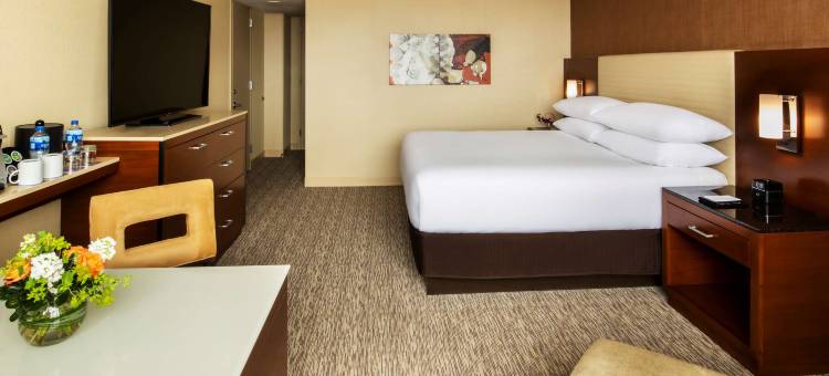 凯悦雷根西奥黑尔芝加哥(Hyatt Regency O'Hare Chicago)图片