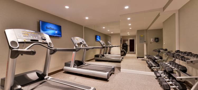 纽约时代广场假日酒店(Holiday Inn New York City - Times Square)图片