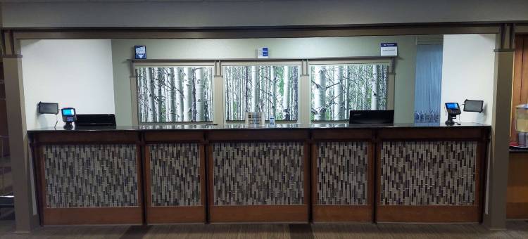 Americinn by Wyndham Birch Run/Frankenmuth(Americinn by Wyndham Birch Run/Frankenmuth)图片