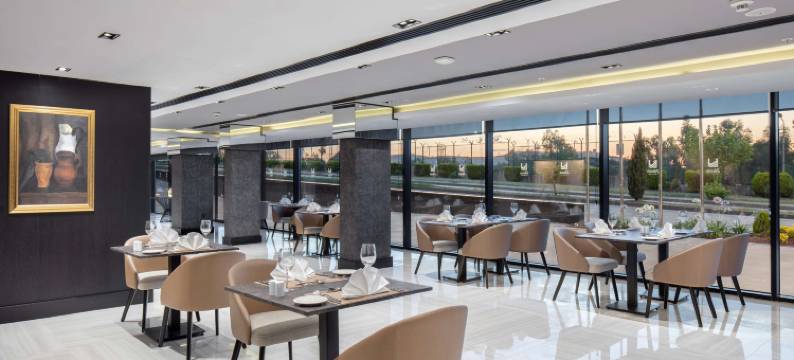 伊兹密尔阿利亚加丽笙酒店(Radisson Hotel Izmir Aliaga)图片