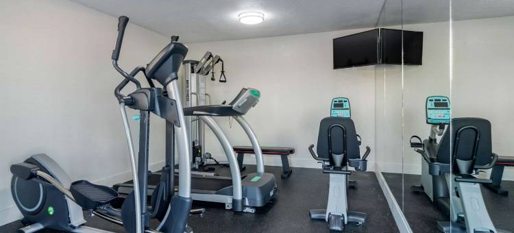 亚特兰大南麦克多纳夫凯艺酒店(Quality Inn McDonough Atlanta South)图片