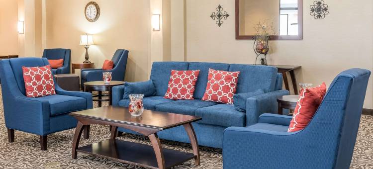 皮夸舒适套房酒店-近特洛伊-I75(Comfort Inn & Suites Piqua-Near Troy-I75)图片