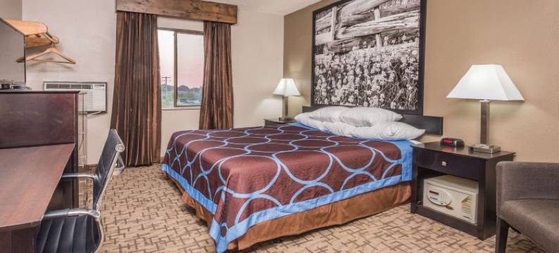 博伊西温德姆速8酒店(Super 8 by Wyndham Boise)图片