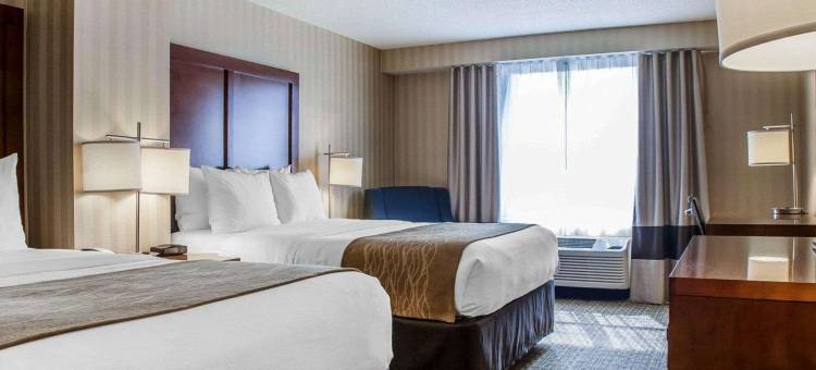 舒适套房酒店(Comfort Inn & Suites Sturbridge-Brimfield)图片