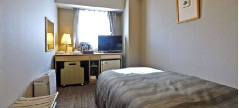 露樱酒店博多站南店(Hotel Route-Inn Hakata Ekiminami)图片