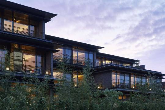 京都二條城悅柳