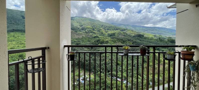 见素抱朴客栈图片