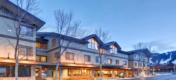 杰克逊Homewood Suites by Hilton(Homewood Suites by Hilton Jackson)图片