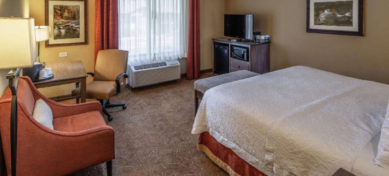 斯普林代尔-锡安国家公园欢朋酒店及套房(Hampton Inn & Suites Springdale/Zion National Park)图片