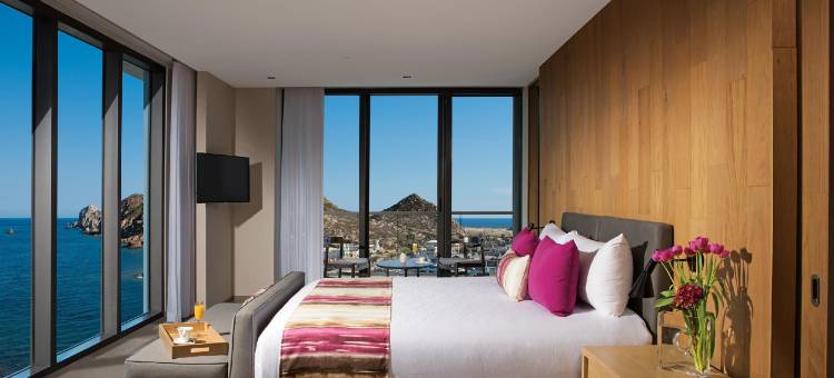屏息卡波圣卢卡斯全包酒店(Breathless Cabo San Lucas Resort & Spa)图片